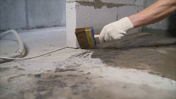 Top rated local Wet Basement Repair specialists in Hazel Park, MI